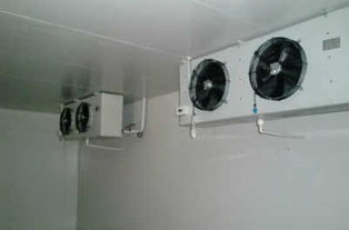 供應(yīng)休寧縣肉類冷凍庫制冷設(shè)備壓縮機(jī)日常保養(yǎng)及維護(hù)介紹