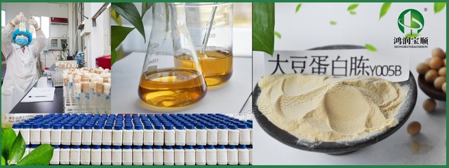鴻潤(rùn)寶順大豆蛋白胨 一款高效保健食品的全面解讀